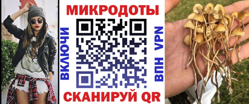 что такое наркотик  гидра ССЫЛКА  Псилоцибиновые грибы Psilocybine cubensis  Верхняя Тура 